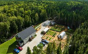 Upper Humber Settlement A Farmstay B&B